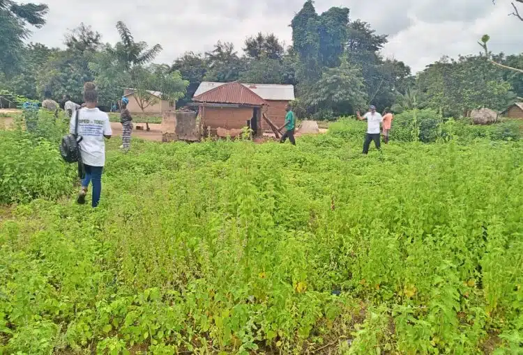 choix emplacements 1